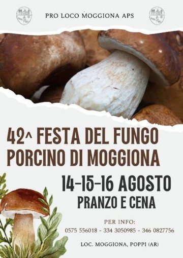 Festa del Fungo Porcino